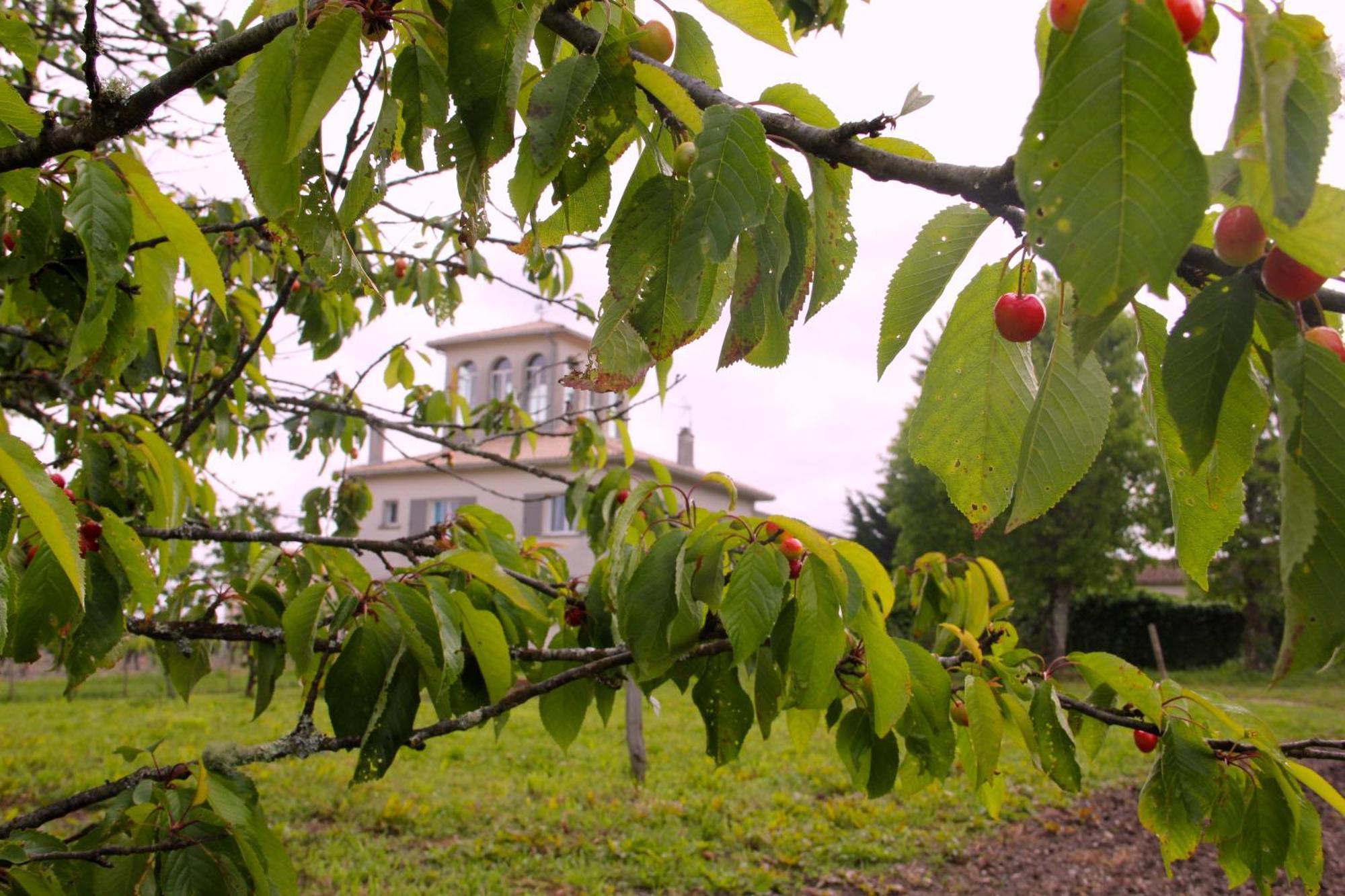 Chateau Trillon Sauternes Exterior photo